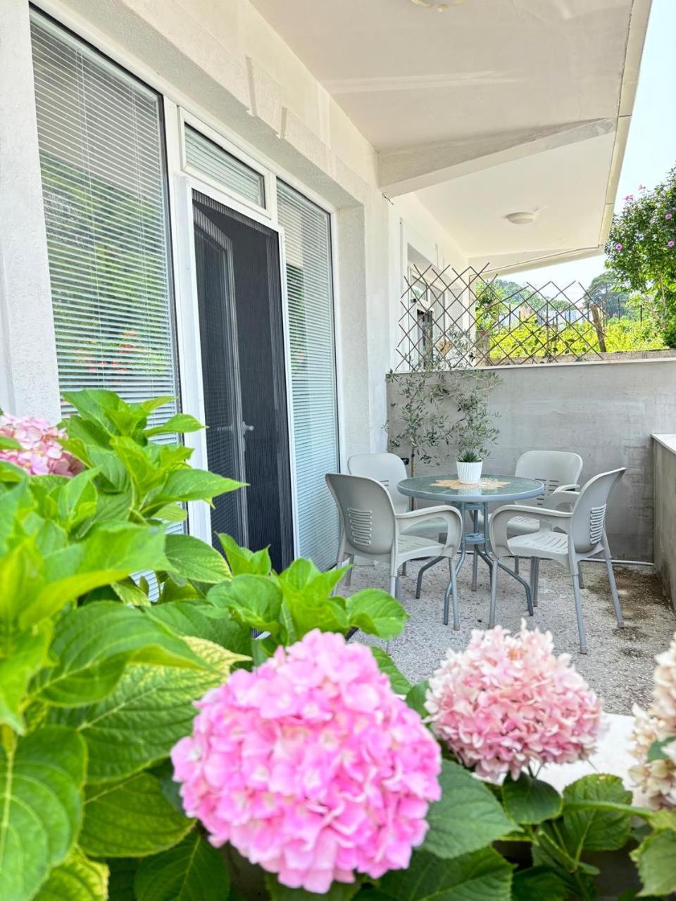 Apartments Boka Pearl Kotor Extérieur photo